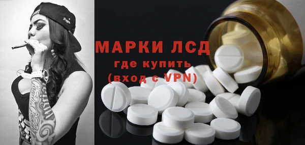 стафф Осташков