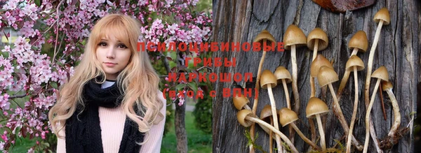 стафф Осташков