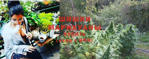 соль ск Арсеньев