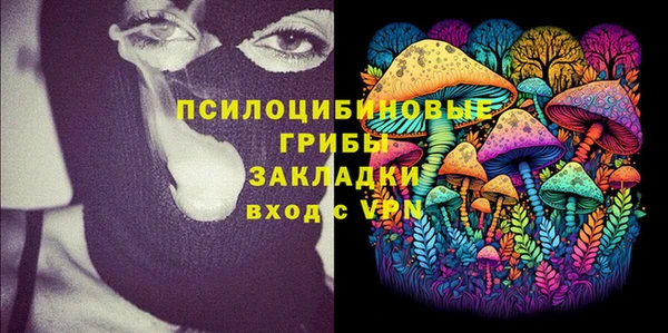 соль ск Арсеньев